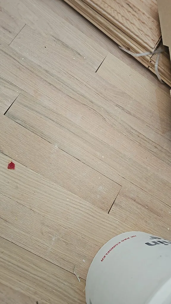IMG-20241116-WA0002.webp