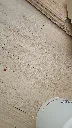 IMG-20241116-WA0002.webp