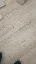 IMG-20241116-WA0004.webp