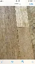 SW4 (2).PNG.webp
