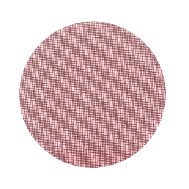 N RH 16" 80 GRIT SCREEN EACH