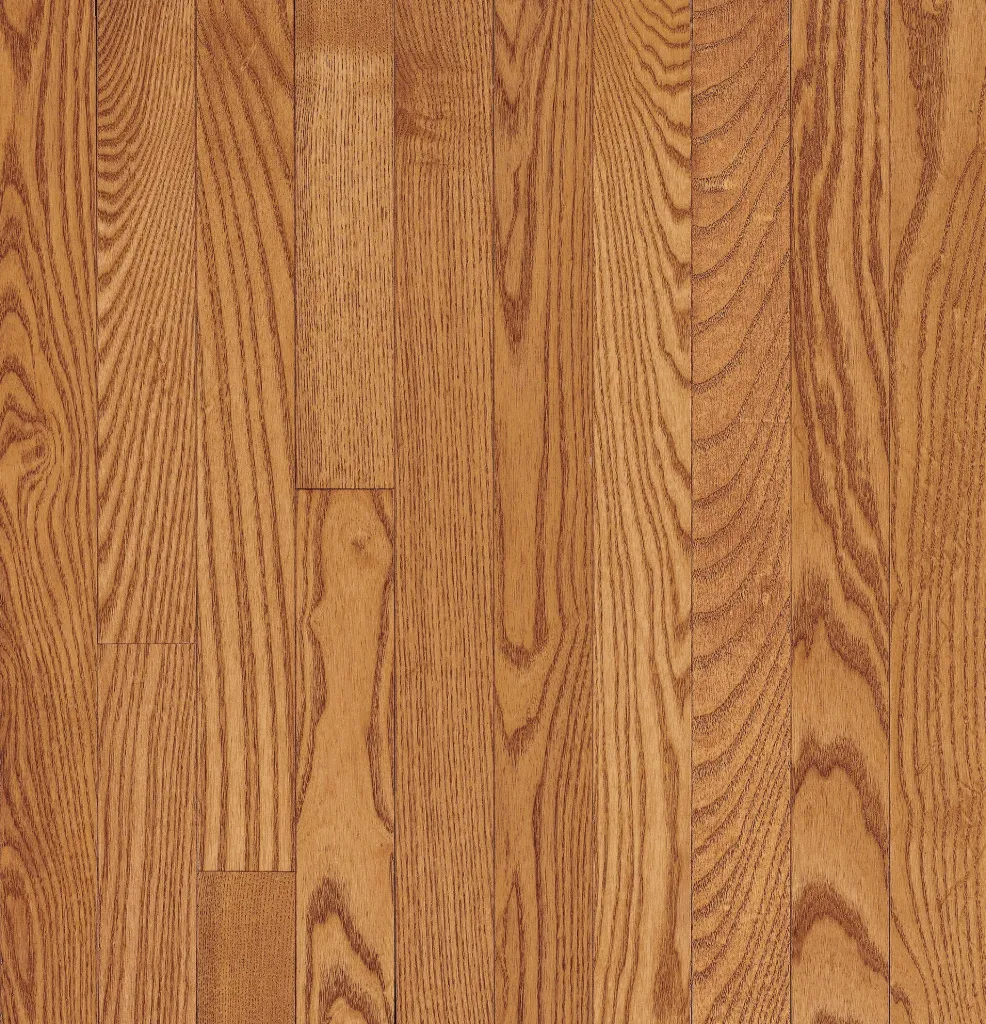 PFS TL 5" BUTTERSCOTCH CB5216TW  [CB5216TW]